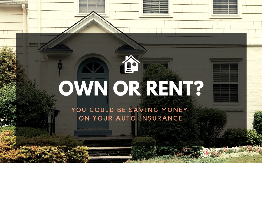  Halo Insurance &amp; Benefits Group